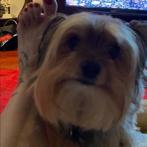 Meet your Posher, Annette